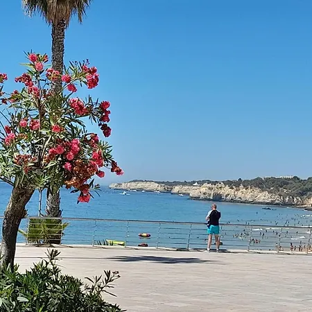 Quinta Da Luz Сasa de vacaciones